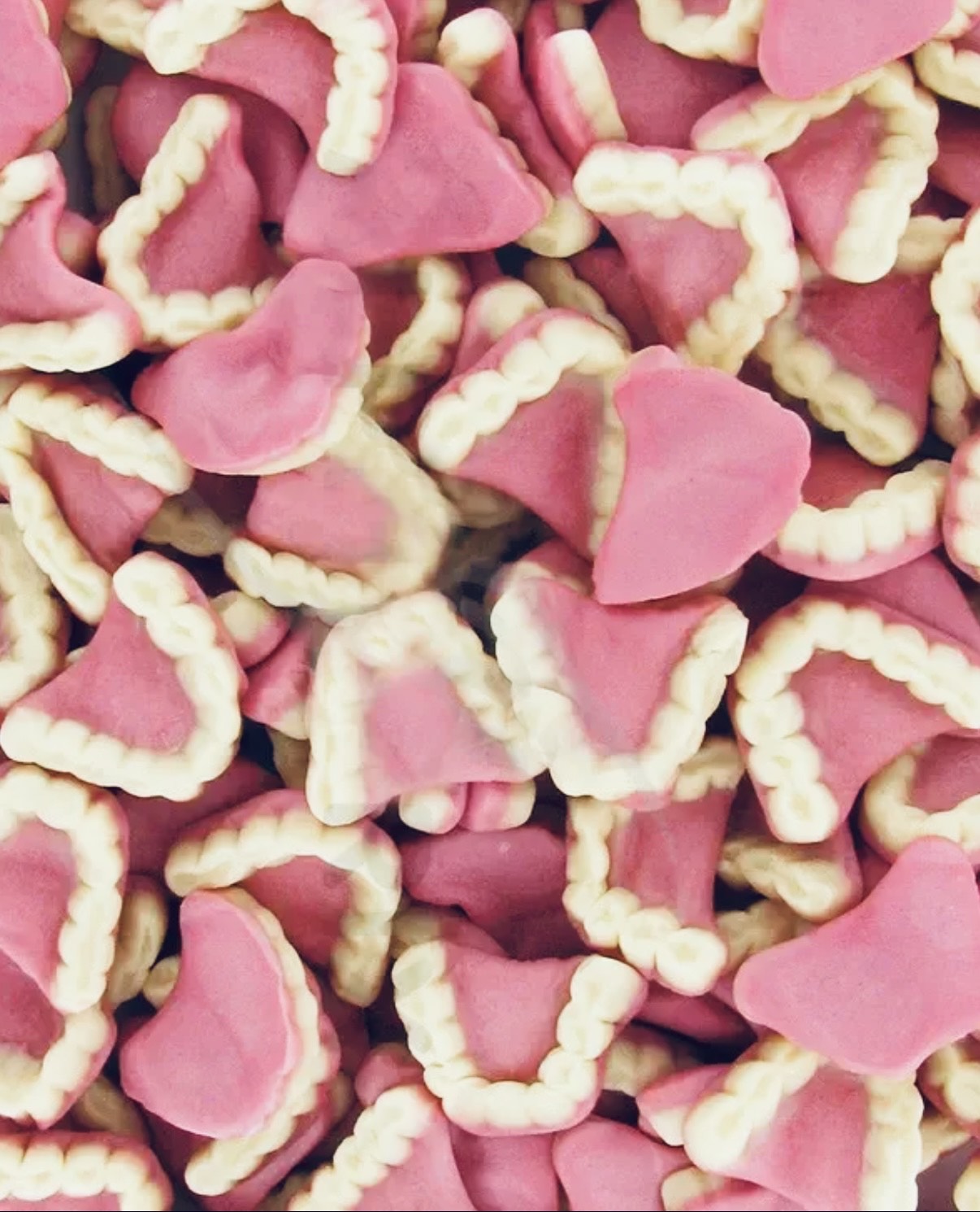 Dentier lisse (100g)