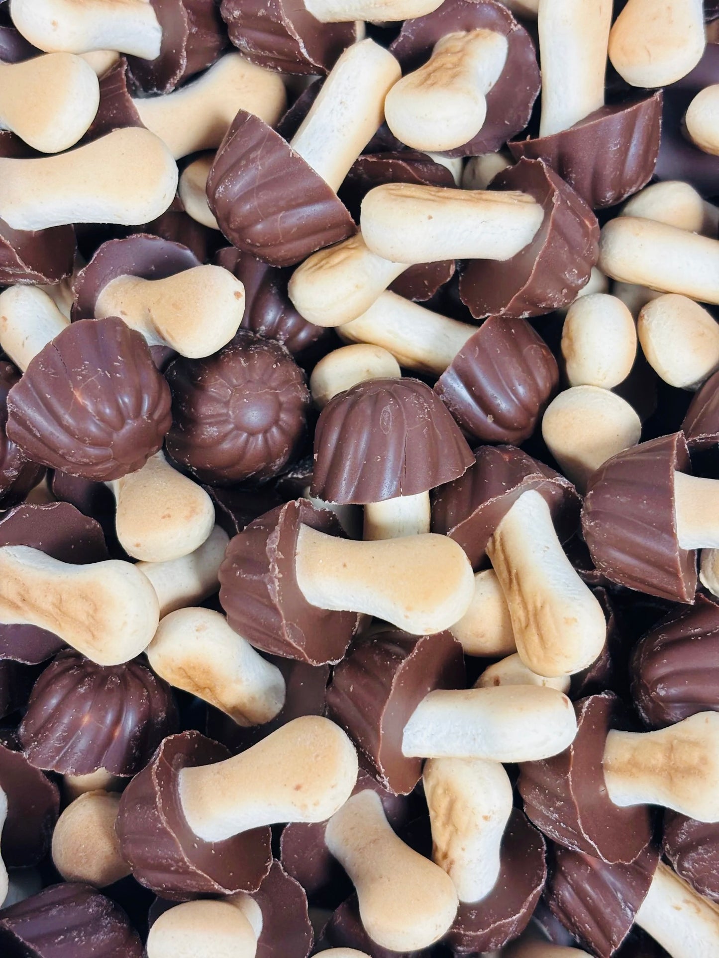 Champignon Chocolat (lot de 10)