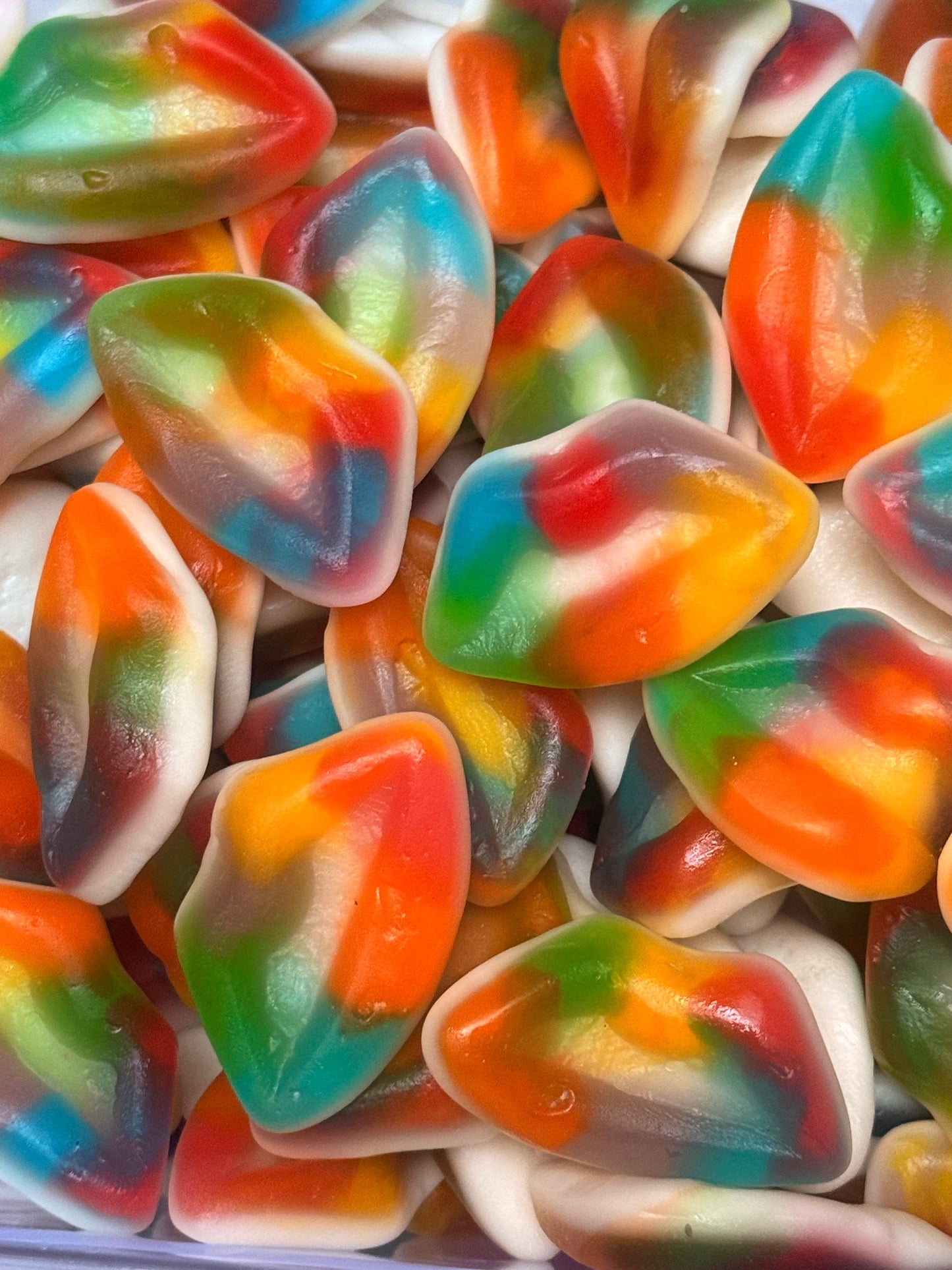 Lèvre multicolore (100g)