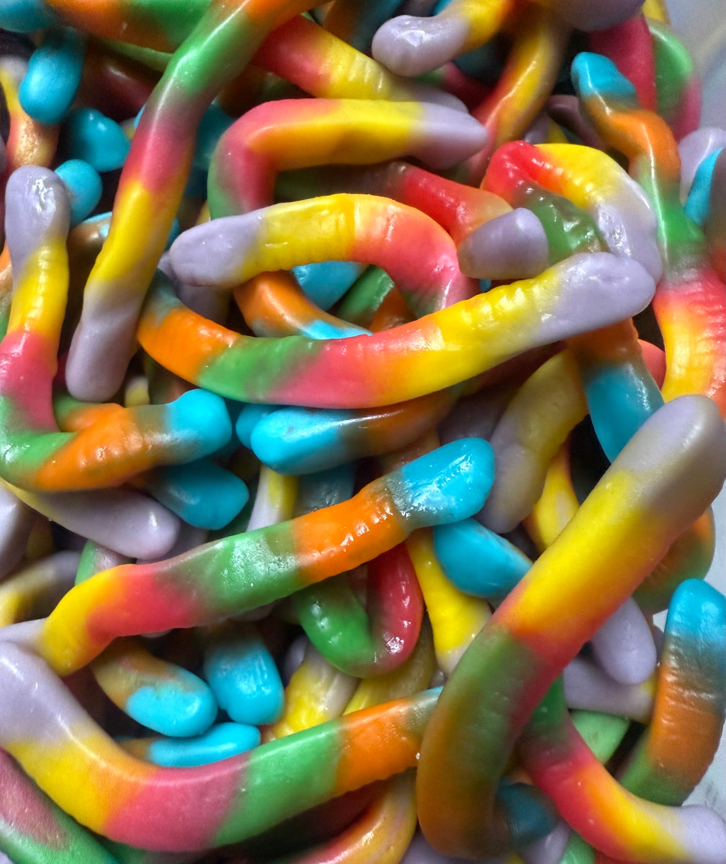 Vers multicolore (100g)