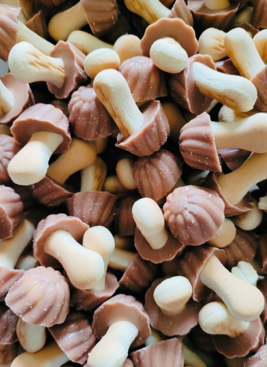 Champignon Caramel (lot de 10)