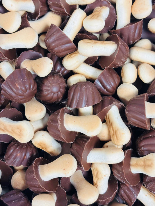 Champignon Chocolat (lot de 10)