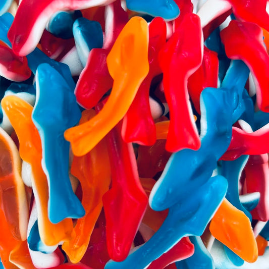 Requin (100g)